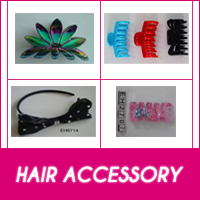 HAIR ACCESSORY